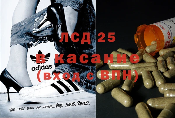 твердый Корсаков