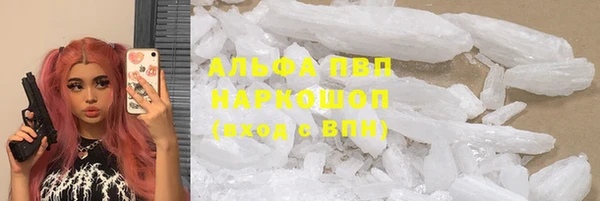 хмурый Кодинск