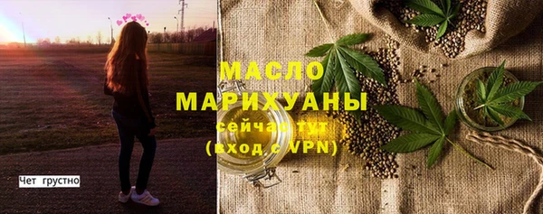 молекула духа Козельск