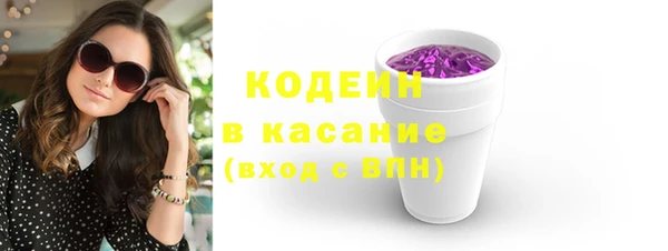 хмурый Кодинск