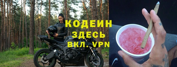 молекула духа Козельск
