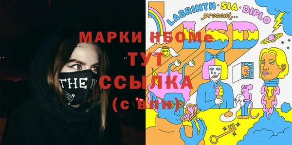 молекула духа Козельск